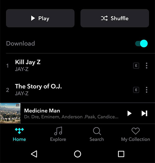How to Play Tidal on Galaxy Watch download-tidal-album.jpg