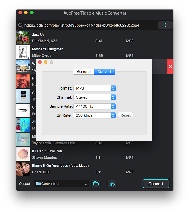 How to Convert Tidal to MP3 Files settings-mac.png