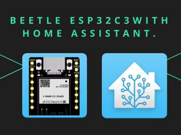 DFRobot_Beetle_ESP32_C3_with_Home_Assistance_1.JPG