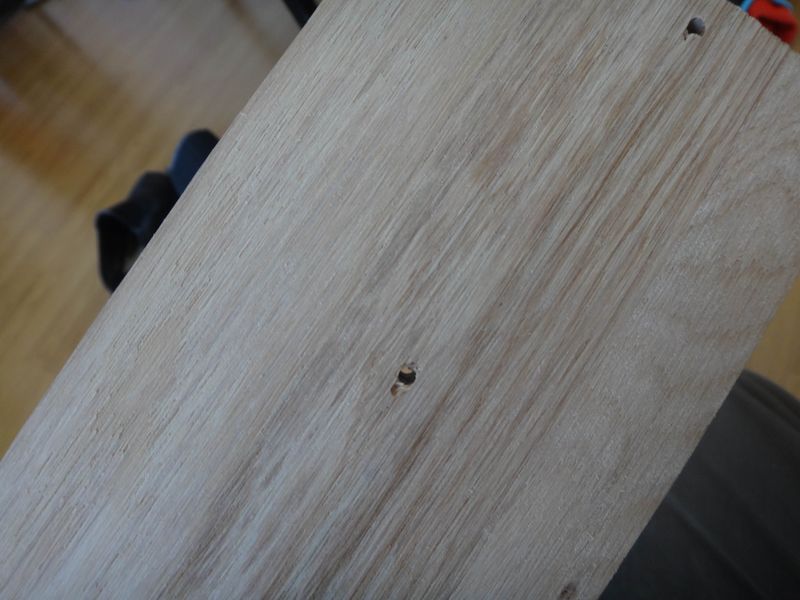 Lombricomposteur en bois de chêne DSC02514.JPG