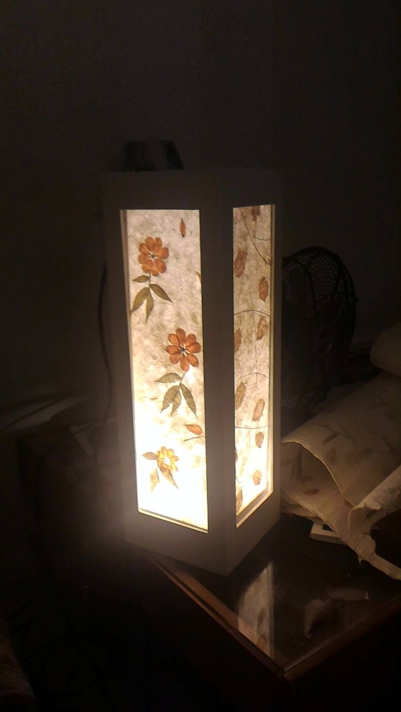 Lampe en bois avec cadre personalisables à l'infini P 20170906 221202.jpg