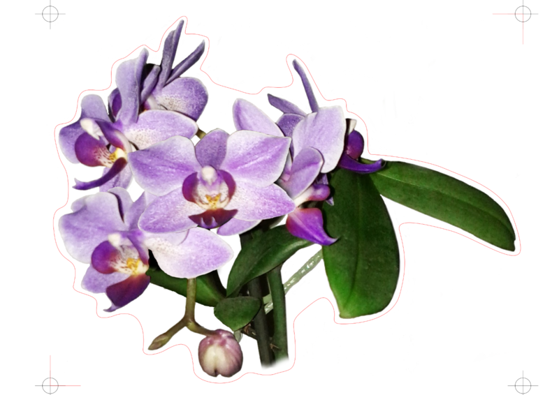 Bouche de ventilation décorative Orchidee.png