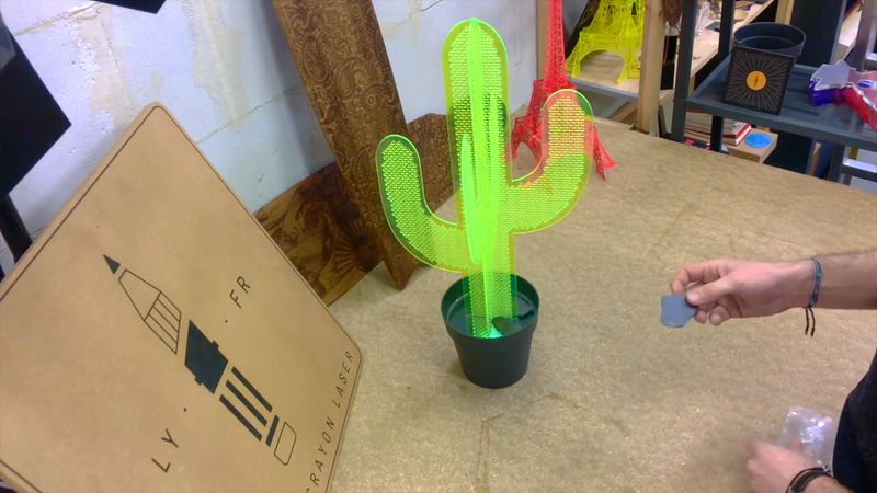 Marcus le Cactus by Crayon Laser galet.jpg
