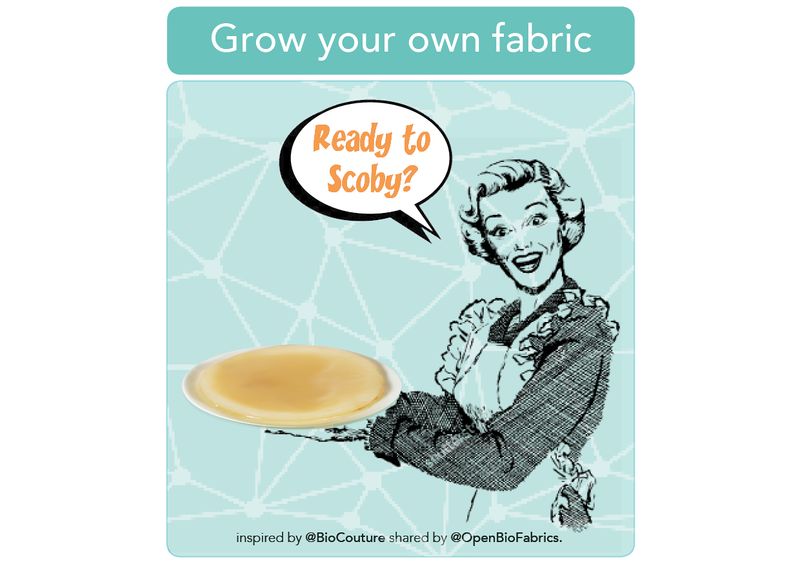 Grown your own fabric with bacteria image 1 wikifab.jpg
