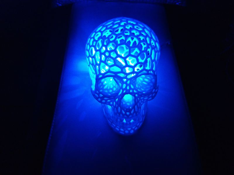 Lampe voronoi skull IMG 20180106 195804.jpg