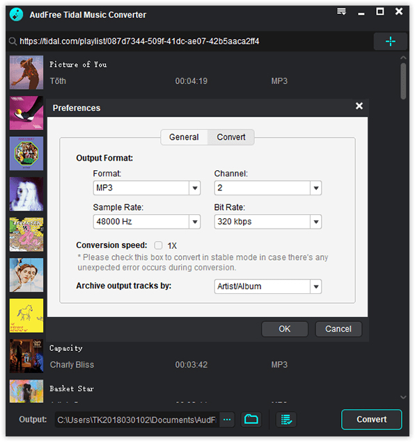 Easy Way to Download Tidal Music to Computer settings-win.jpg