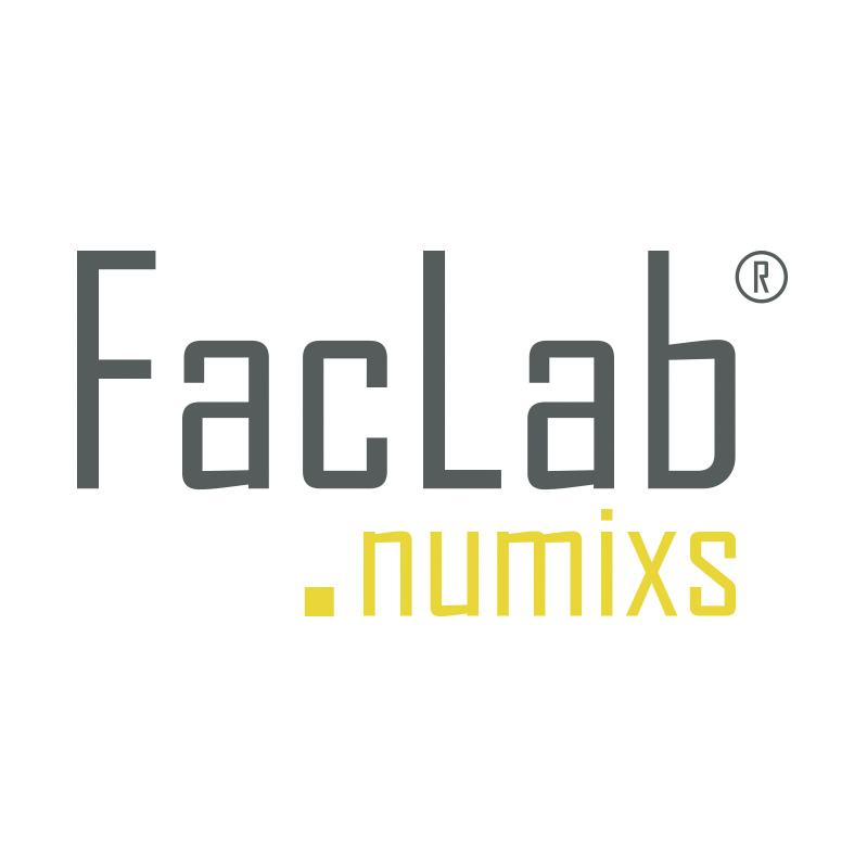 Group-FacLab numixs FACLAB NUMIXS LOGO carr .jpg