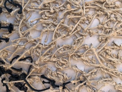 Stim caille 494820167 1752700328935860 6137782066941925107 n.jpg