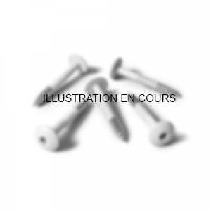 Exploration sous marine vis en cours.png