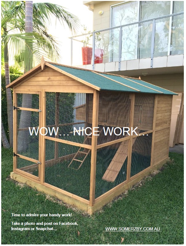 Building Yourself a Chicken Coop Final Check on the Chicken Coop.jpg