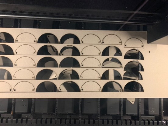 Stim caille 494826841 548251588342251 8453661775511301248 n.jpg