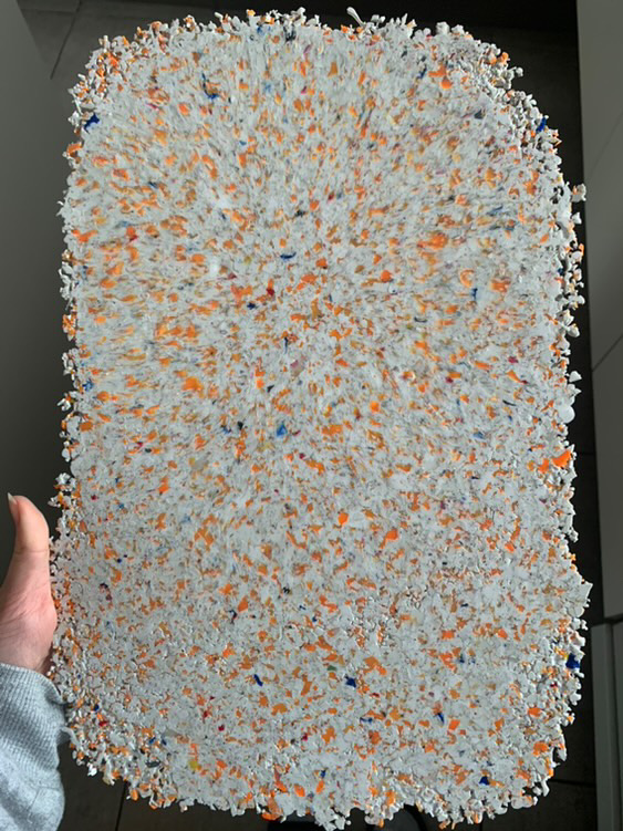 Stim caille E88C73C1-EA3F-410B-94E0-2982F94F2698.JPG