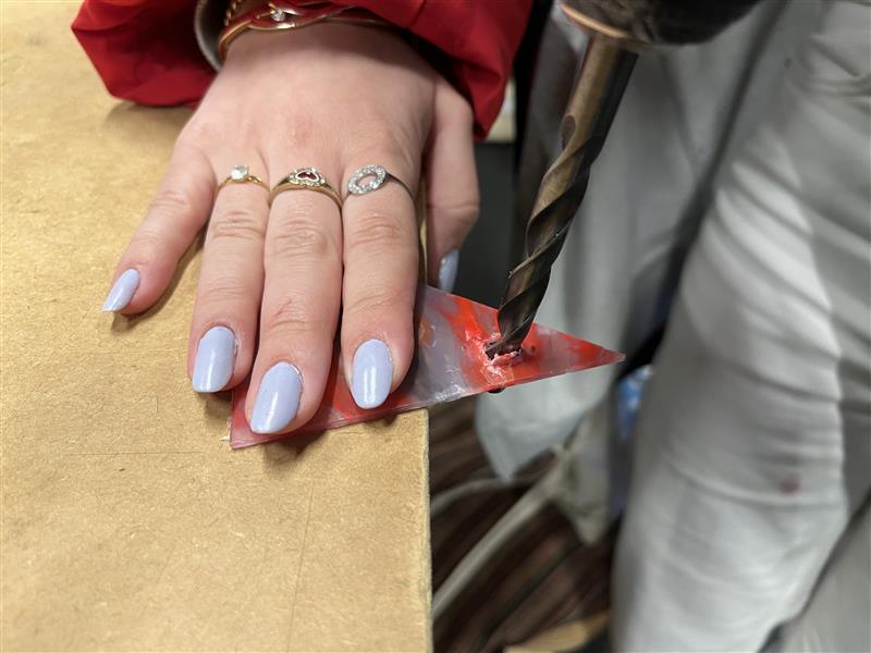 La Jardini re grimpante . IMG 4132.jpeg