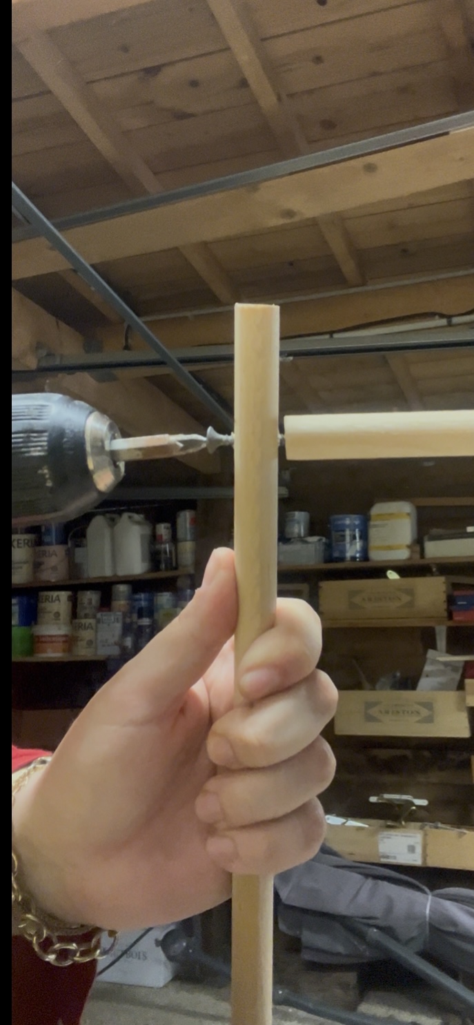 Un tuteur la menthe IMG 9221.jpeg