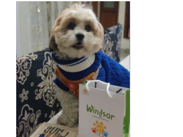 Windsor_The_Pet_Shop_in_Delhi_Khan_Market_WhatsApp_Image_2024-07-26_at_4.04.54_PM.jpeg