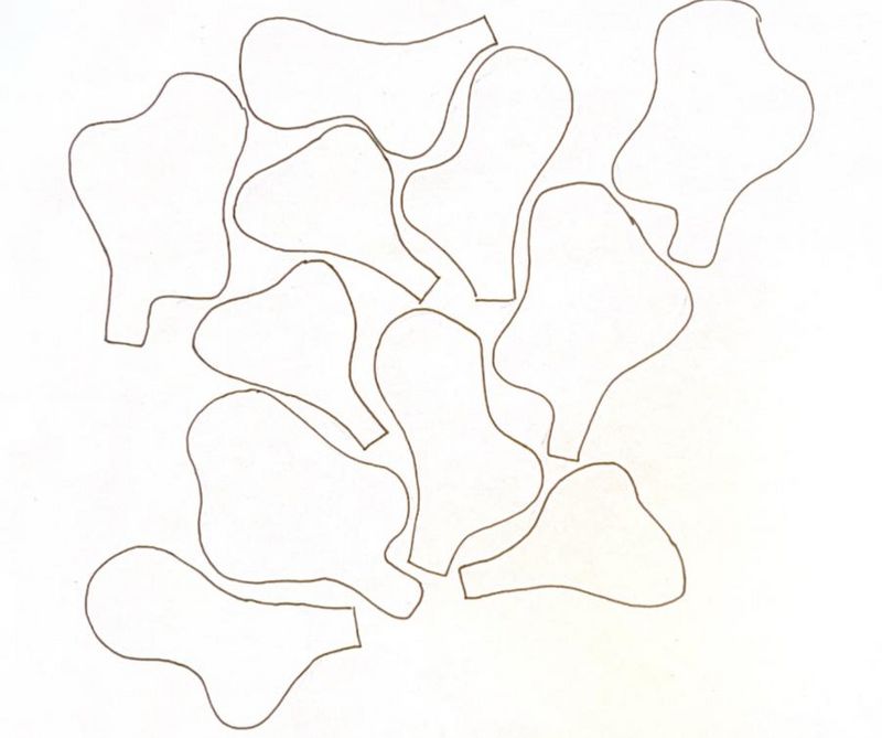 Projet - HALTE WhatsApp Image 2025-05-12 15.26.56 ba4da1bf.jpg