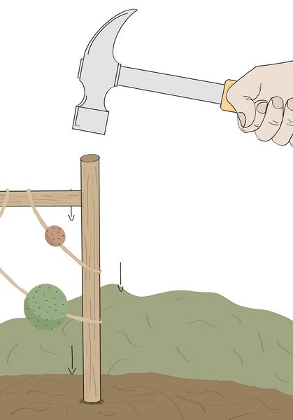 Fichier:Un tuteur la menthe Illustration sans titre 3.jpg