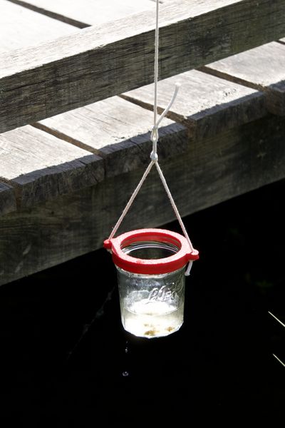 Fichier:Balade en Eaux Troubles DSC08104.jpeg