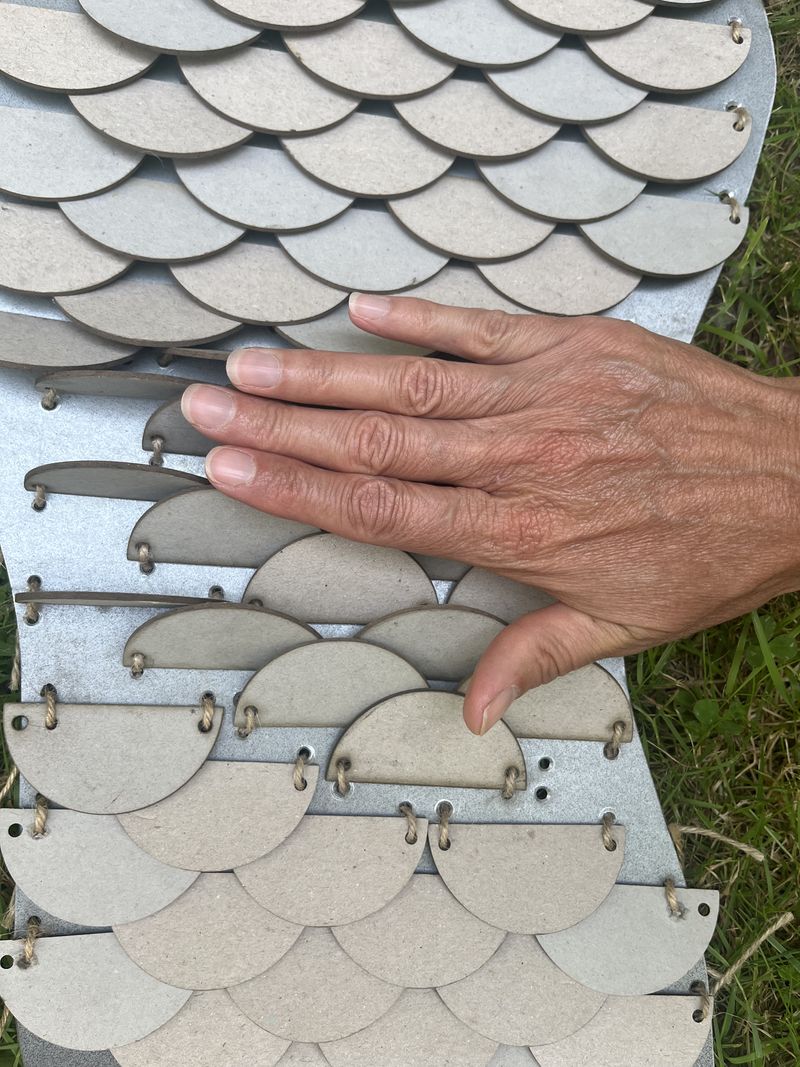 Stim caille IMG 7832.jpeg