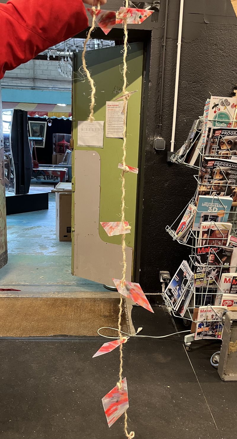 Jardini re grimpante. IMG 4139.jpeg