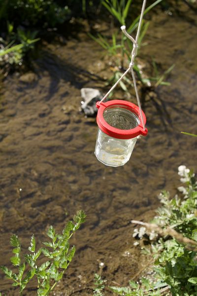 Fichier:Balade en Eaux Troubles DSC08097.jpeg