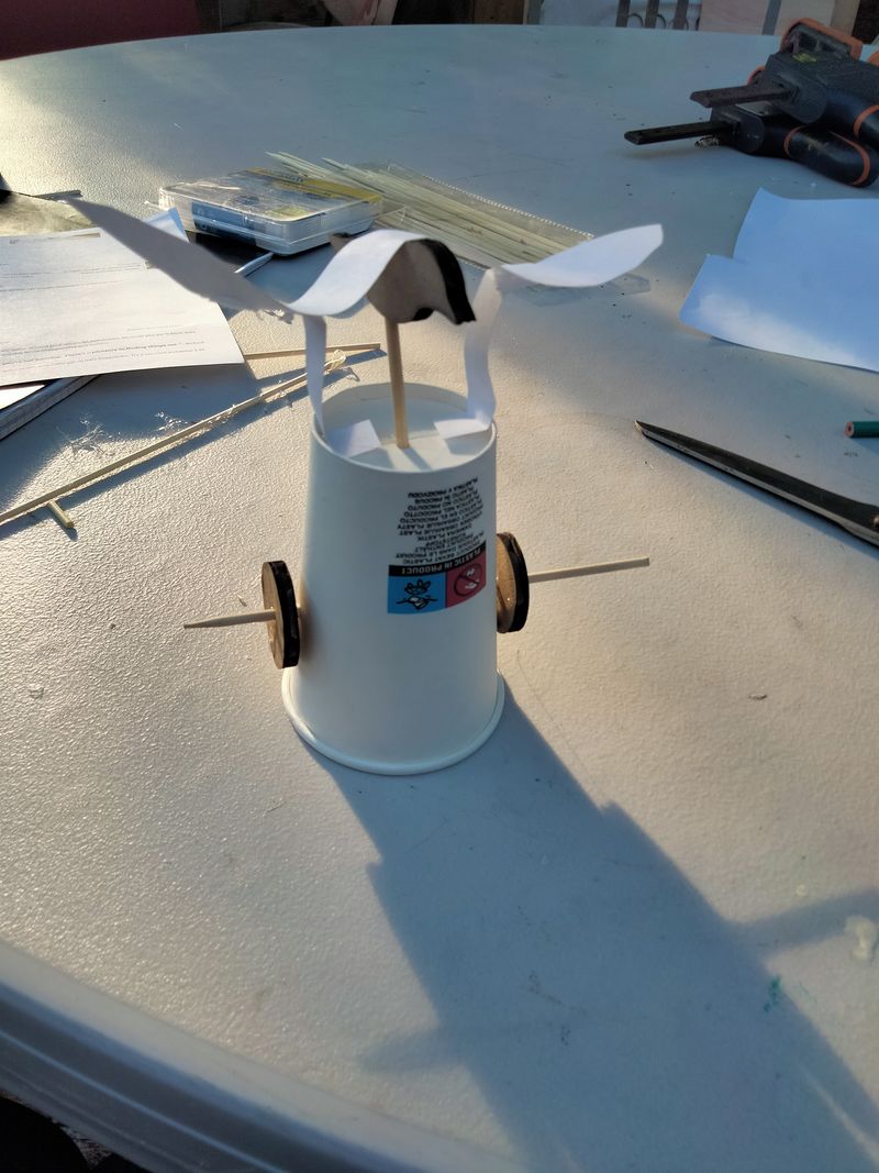 Oiseau automate ailes battantes 1000043207.jpg