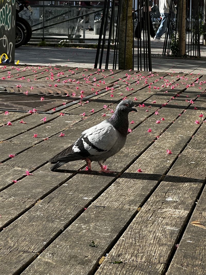 Focalisation IMG 3641 2.jpeg