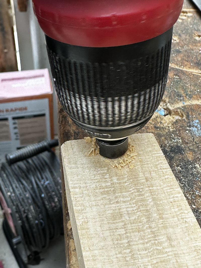 Focalisation IMG 3766.jpeg