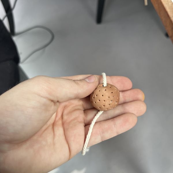 Fichier:Un tuteur la menthe IMG 9188 2.jpeg