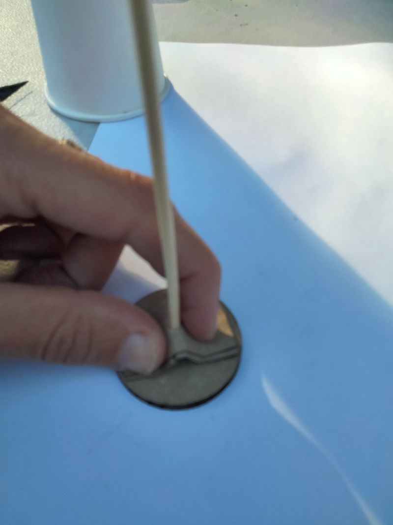 Oiseau automate ailes battantes 1000043194.jpg