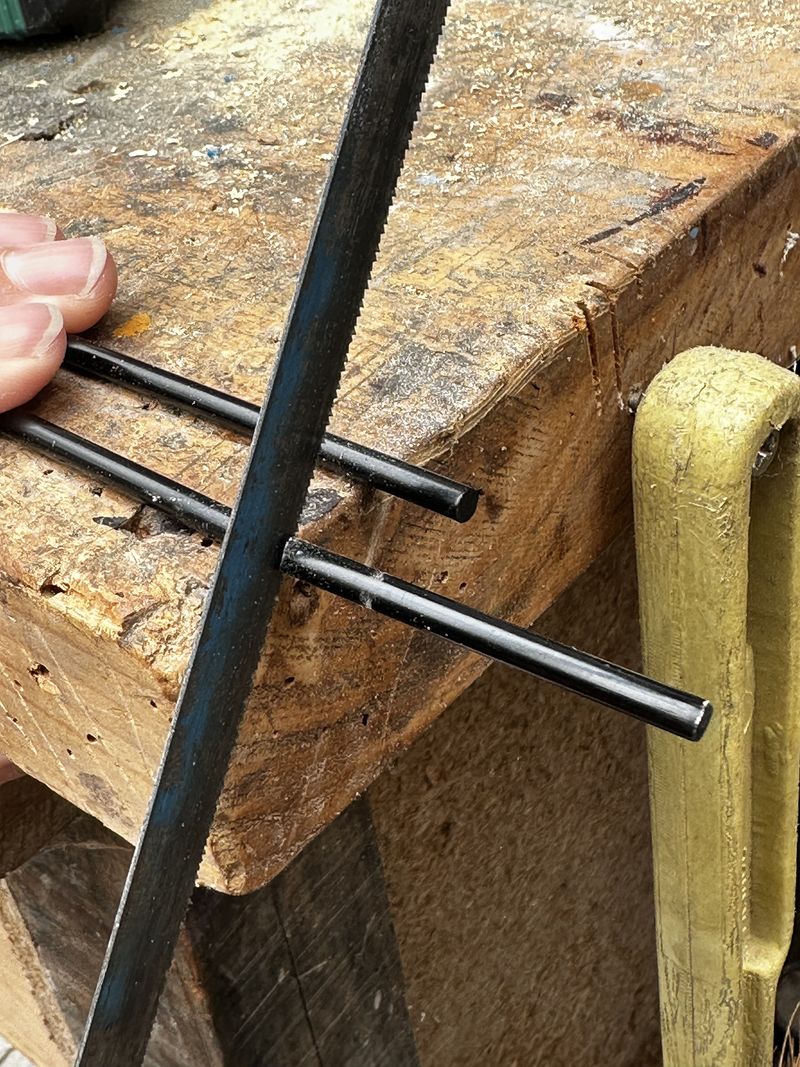 Focalisation IMG 3756.jpeg