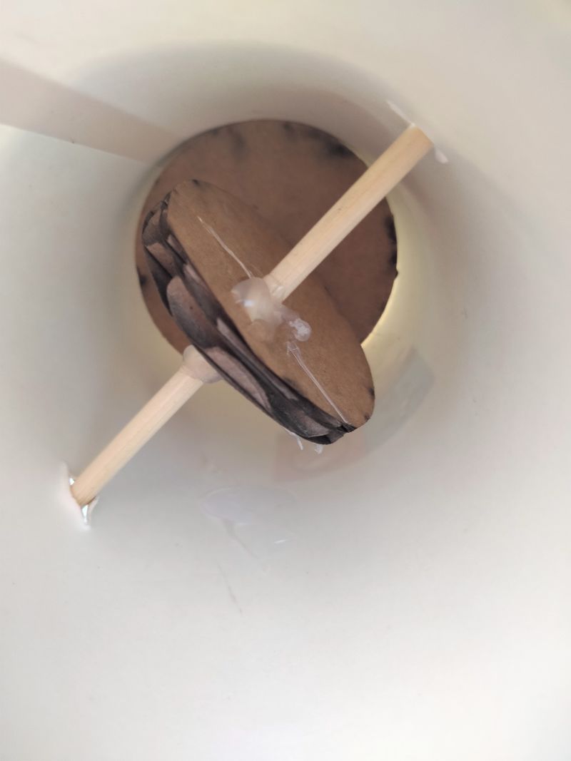 Oiseau automate ailes battantes 1000043198.jpg