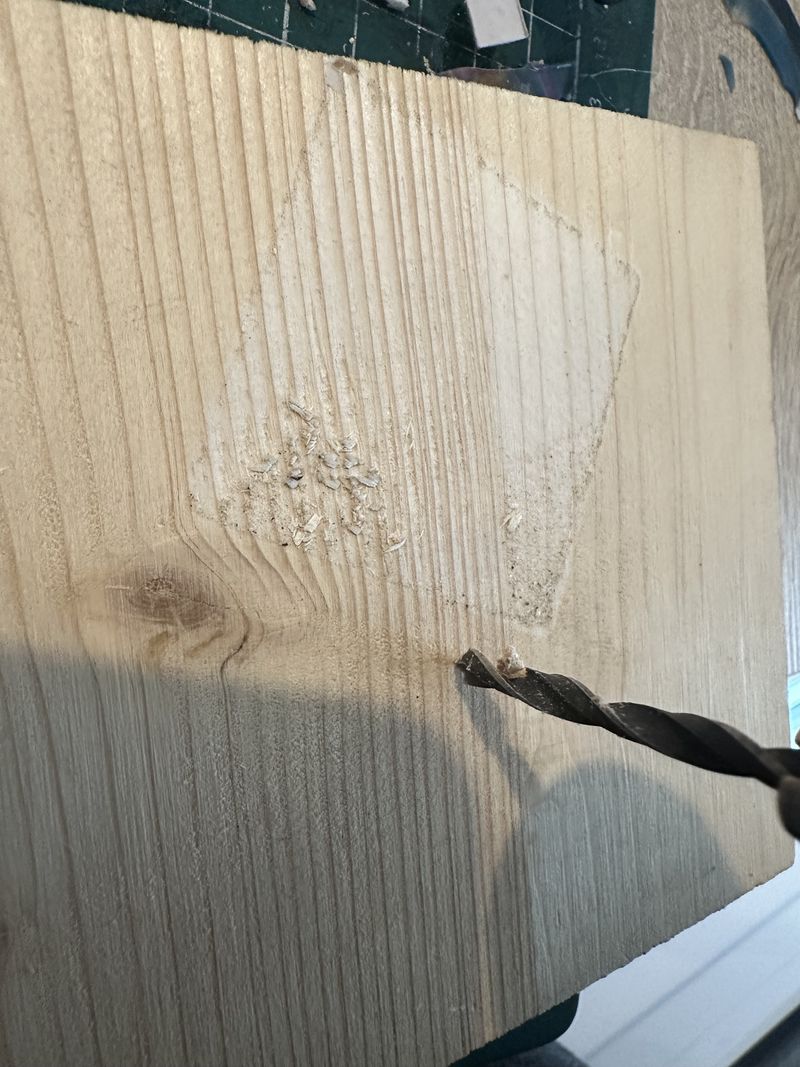 SKODENN 2 IMG 5729.jpg