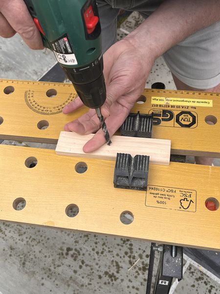 Fichier:Murmur num ro 2 IMG 9375.jpeg