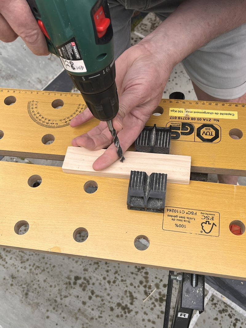 Murmur num ro 2 IMG 9375.jpeg