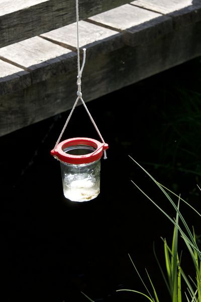 Fichier:Balade en Eaux Troubles DSC08103.jpeg