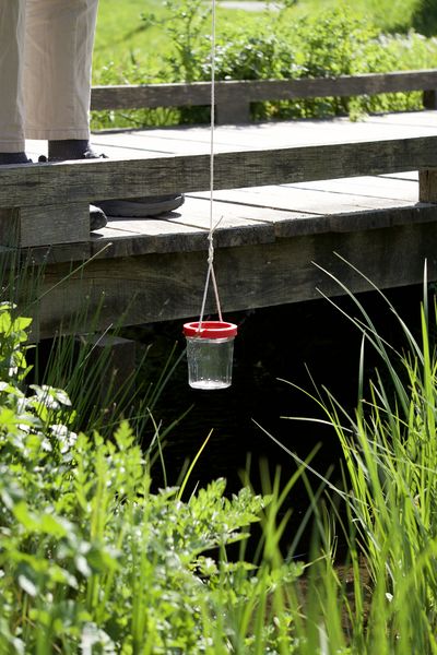 Fichier:Balade en Eaux Troubles DSC08099.jpeg