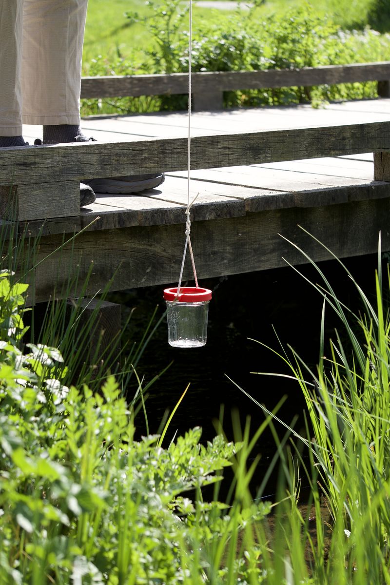 Balade en Eaux Troubles DSC08099.jpeg