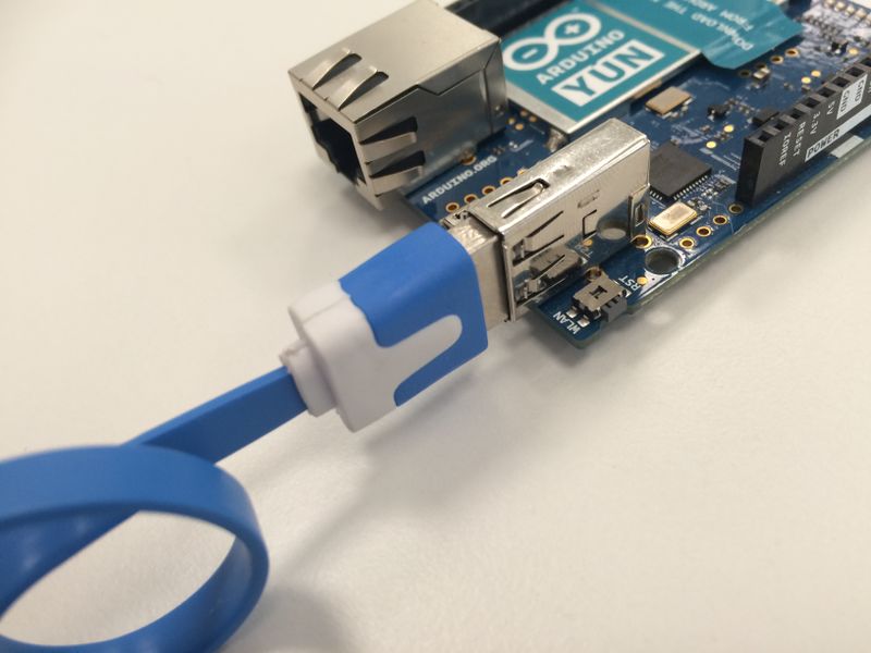 Grenouille Bleue 2 2 USB Arduino.JPG