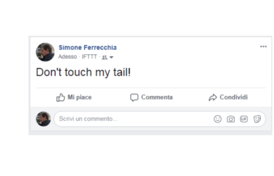 Create_a_wooden_pet_that_connects_with_Facebook_italiano_ter.PNG