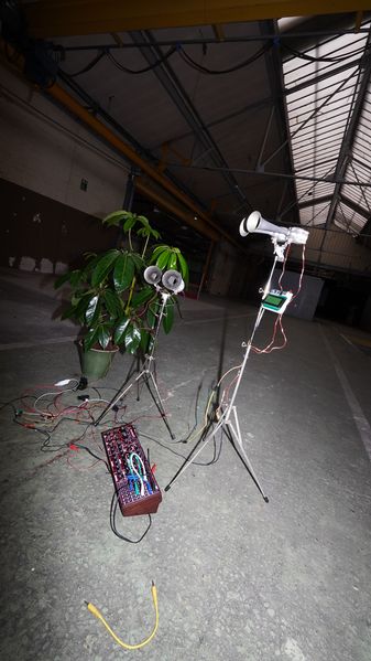 Fichier:Piano automate DSC03127.jpeg