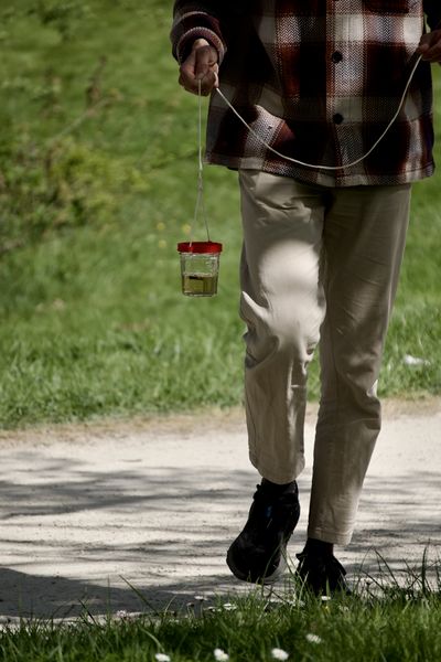 Fichier:Balade en Eaux Troubles DSC08128.jpeg