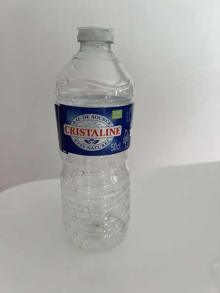 Fichier:Oreille urbaine IMG 6520.JPG