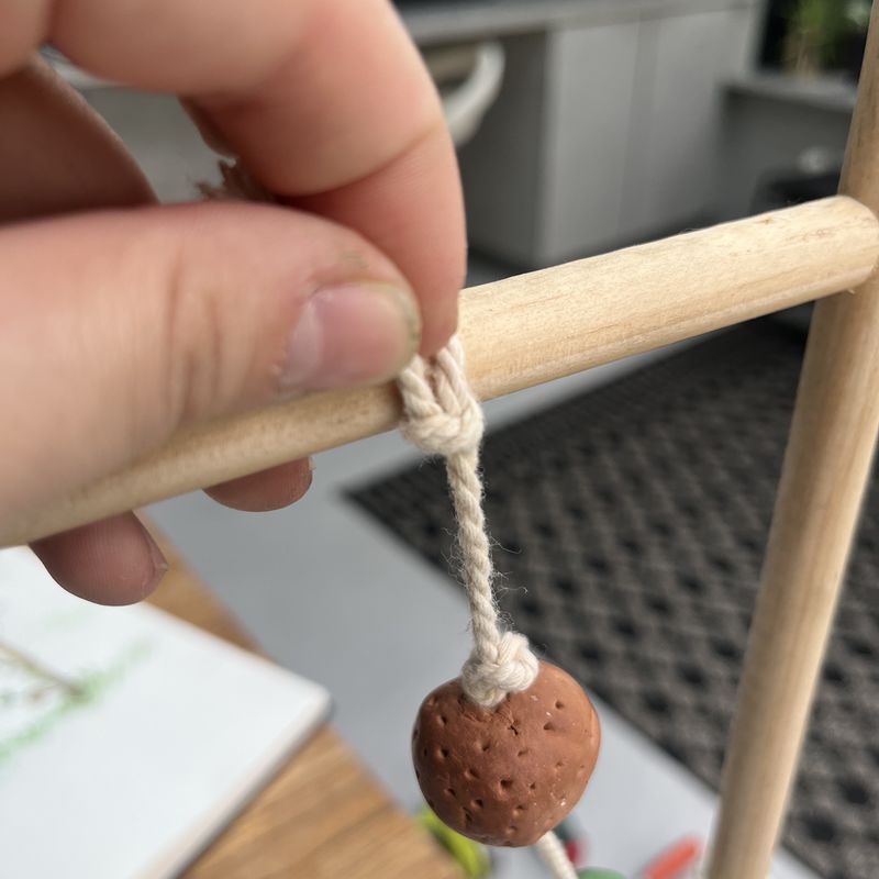 Un tuteur la menthe IMG 9175.jpeg