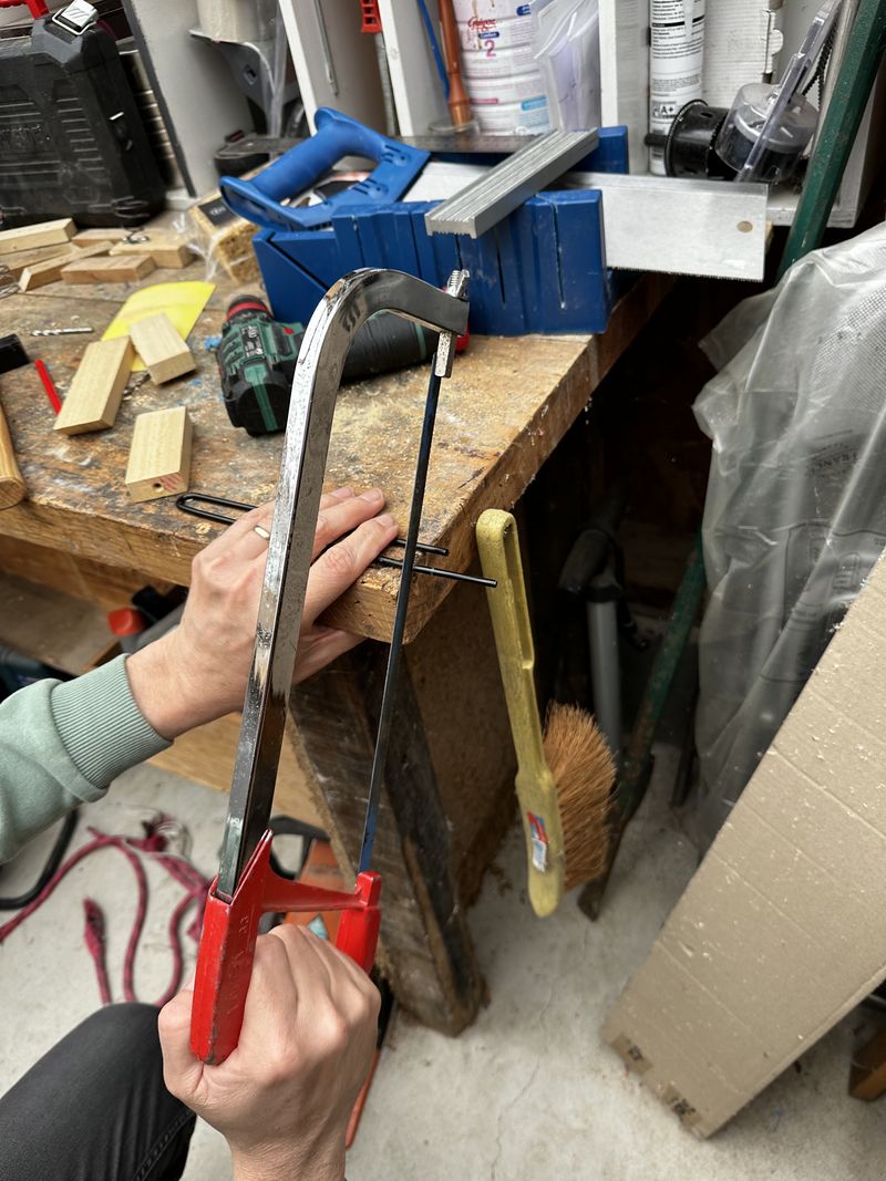 Focalisation IMG 3757.jpeg