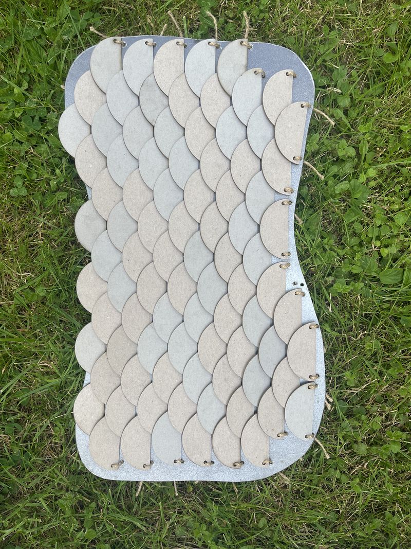 Stim caille IMG 7840.jpeg