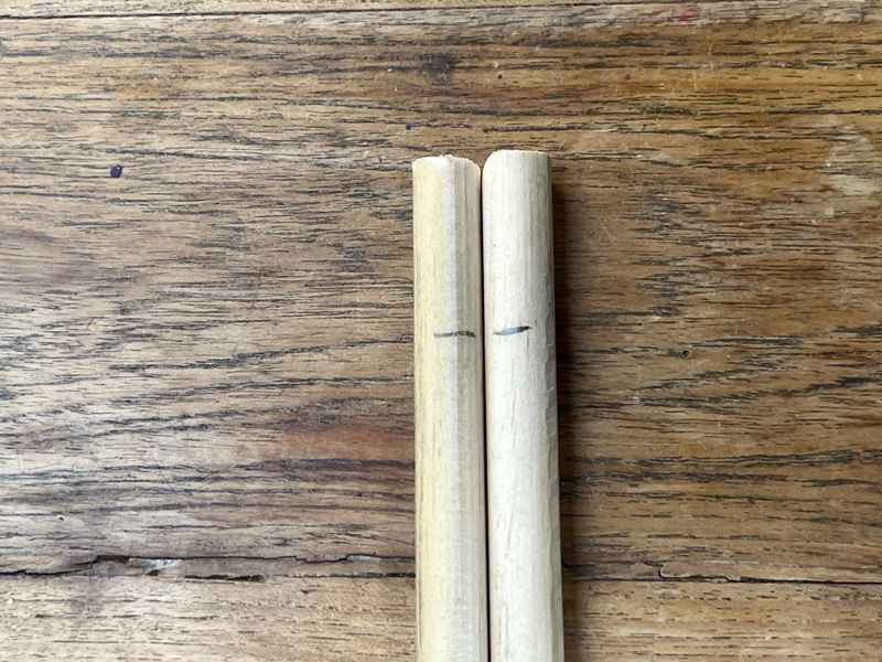 Fichier:Un tuteur la menthe IMG 9160.jpeg