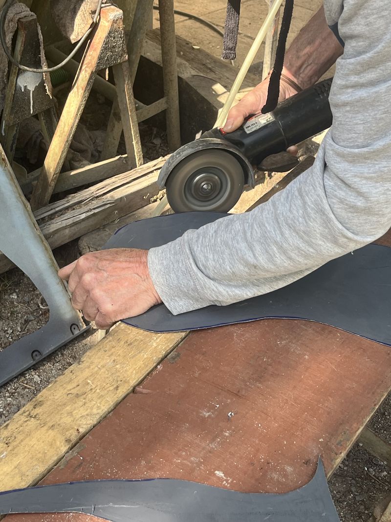 Stim caille IMG 7750.jpeg