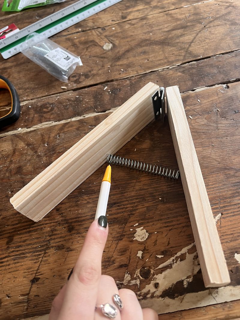 Murmur num ro 2 IMG 9373.jpeg