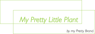 My_Pretty_Little_Plant_My_Pretty_Little_Plant.png